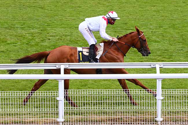 Photo d'arrivée de la course pmu PRIX DES VIEILLES GARENNES à COMPIEGNE le Jeudi 11 juin 2020