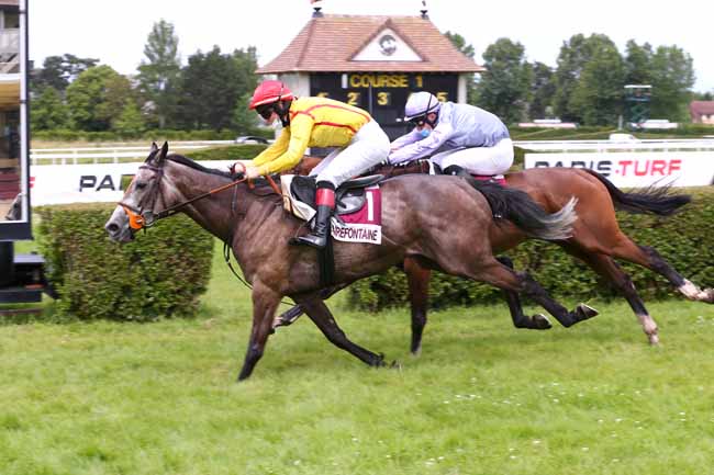 Photo d'arrivée de la course pmu PRIX LA BELLE FERRONNIERE à CLAIREFONTAINE le Lundi 15 juin 2020