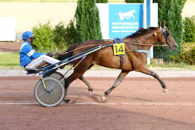 Photo d'arrivée de la course pmu PRIX CLEMENTINA à MAUQUENCHY le Vendredi 19 juin 2020