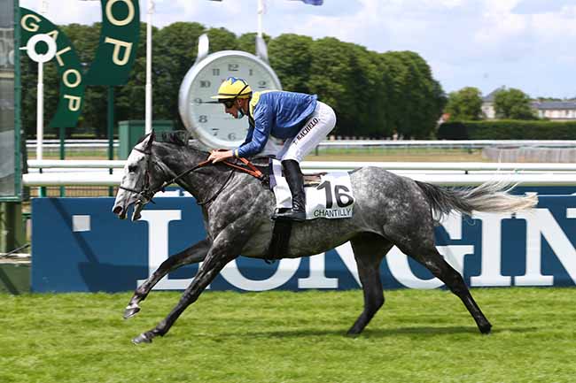 Photo d'arrivée de la course pmu PRIX DU CHEMIN DE LA CARTOUCHE à CHANTILLY le Vendredi 19 juin 2020