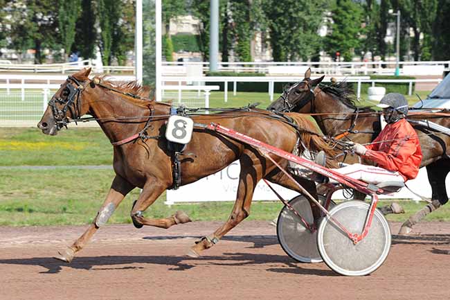 Photo d'arrivée de la course pmu PRIX DE COSNE-SUR-LOIRE (GR A) à VICHY le Mercredi 24 juin 2020