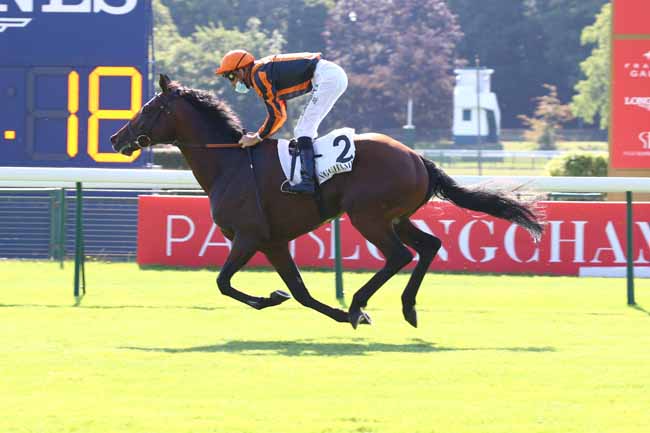 Photo d'arrivée de la course pmu LA COUPE à LONGCHAMP le Jeudi 25 juin 2020
