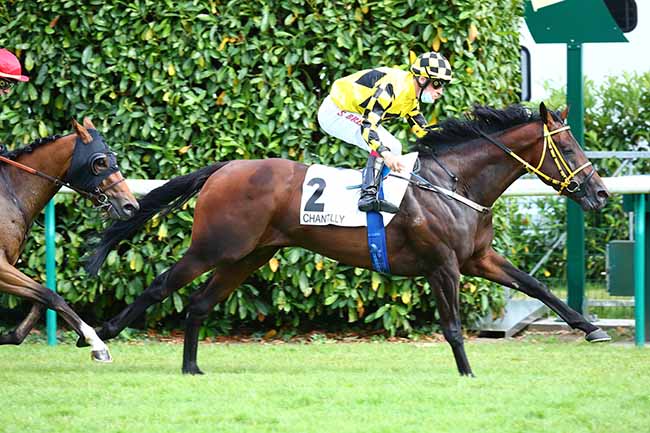 Photo d'arrivée de la course pmu PRIX DU QUARTIER DE VERDUN à CHANTILLY le Samedi 27 juin 2020