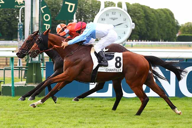 Photo d'arrivée de la course pmu PRIX DE LA CHAUSSEE DU ROI à CHANTILLY le Samedi 27 juin 2020