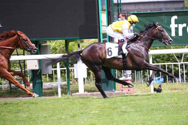 Photo d'arrivée de la course pmu PRIX DE SAINT-PATRICK à SAINT-CLOUD le Dimanche 28 juin 2020