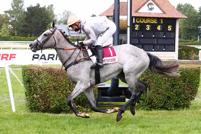 Photo d'arrivée de la course pmu PRIX LES OUVRES à CLAIREFONTAINE le Lundi 29 juin 2020