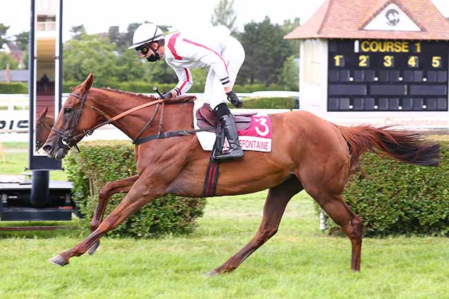 Photo d'arrivée de la course pmu PRIX DE PENNEDEPIE à CLAIREFONTAINE le Lundi 29 juin 2020