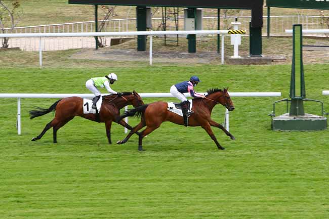 Photo d'arrivée de la course pmu PRIX DE FLEURINES à SAINT-CLOUD le Vendredi 3 juillet 2020