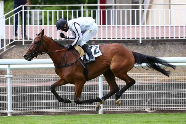 Photo d'arrivée de la course pmu HARAS D'ETREHAM PRIX SAGAN à AUTEUIL le Samedi 4 juillet 2020