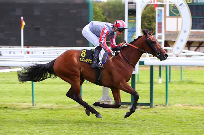 Photo d'arrivée de la course pmu PRIX DES GENTILHOMMES à COMPIEGNE le Lundi 6 juillet 2020