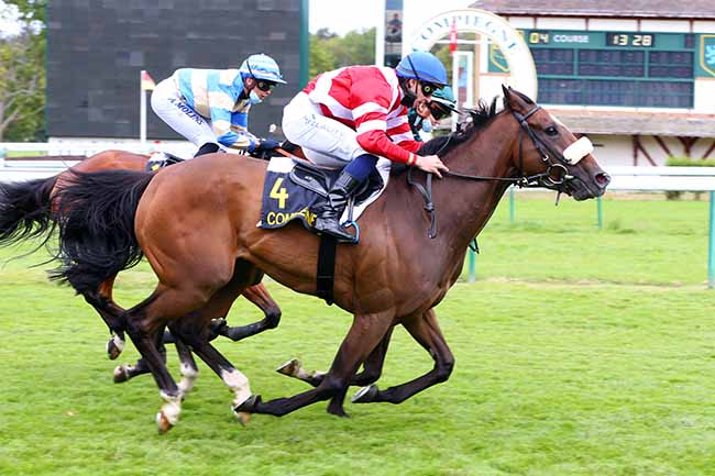Photo d'arrivée de la course pmu PRIX DE SAINTE-PERINE à COMPIEGNE le Lundi 6 juillet 2020
