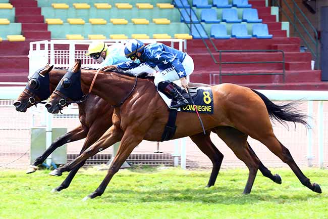 Photo d'arrivée de la course pmu PRIX DE REMY à COMPIEGNE le Lundi 6 juillet 2020