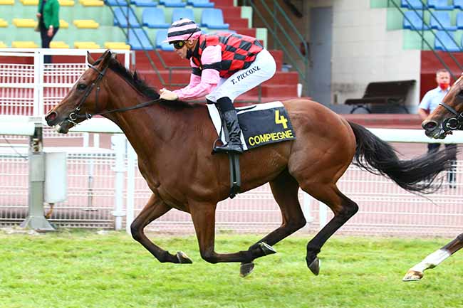 Photo d'arrivée de la course pmu PRIX DE SAINT-JUST-EN-CHAUSSEE à COMPIEGNE le Lundi 6 juillet 2020
