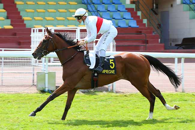 Photo d'arrivée de la course pmu PRIX DU MONT SAINT-MARD à COMPIEGNE le Lundi 6 juillet 2020