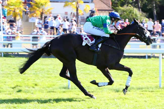 Photo d'arrivée de la course pmu PRIX VILLE DE HONFLEUR à CLAIREFONTAINE le Samedi 18 juillet 2020