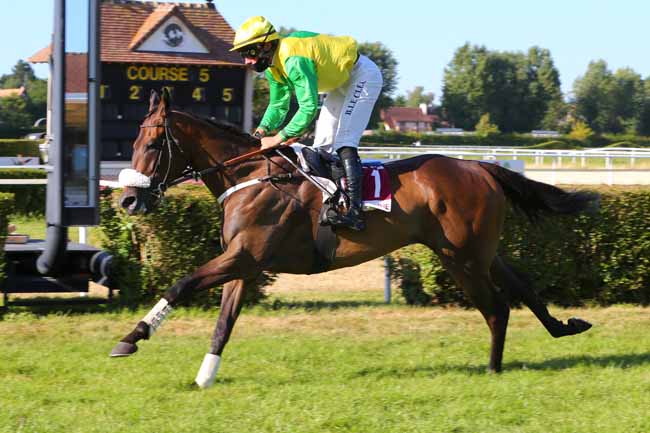 Photo d'arrivée de la course pmu PRIX REVE LA BOUTIQUE DEAUVILLE à CLAIREFONTAINE le Samedi 18 juillet 2020