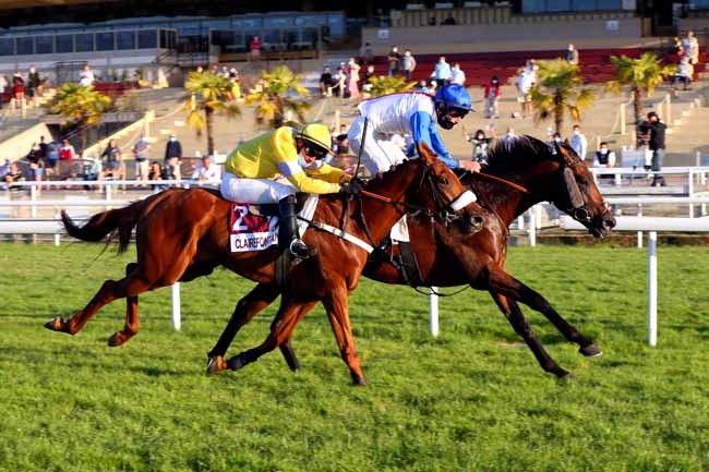 Photo d'arrivée de la course pmu PRIX BIBIKOVNA à CLAIREFONTAINE le Samedi 18 juillet 2020