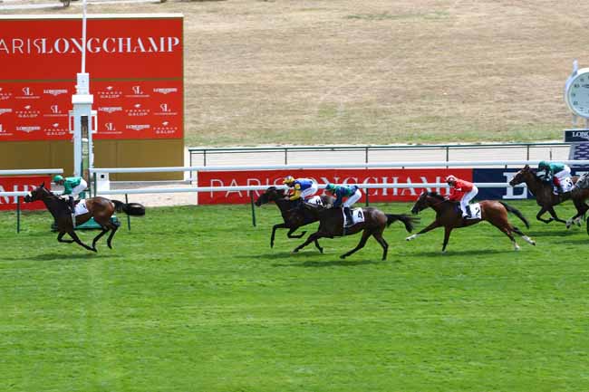 Photo d'arrivée de la course pmu PRIX DE THIBERVILLE à LONGCHAMP le Jeudi 23 juillet 2020
