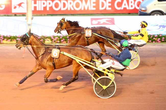 Photo d'arrivée de la course pmu PRIX DES BUSSEROLES (GR B) à CABOURG le Vendredi 24 juillet 2020