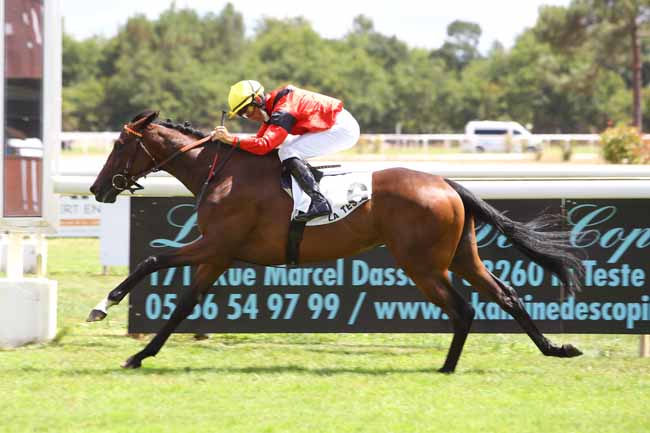 Photo d'arrivée de la course pmu PRIX REVERDY NUTRITION EQUINE à LA TESTE DE BUCH le Dimanche 26 juillet 2020