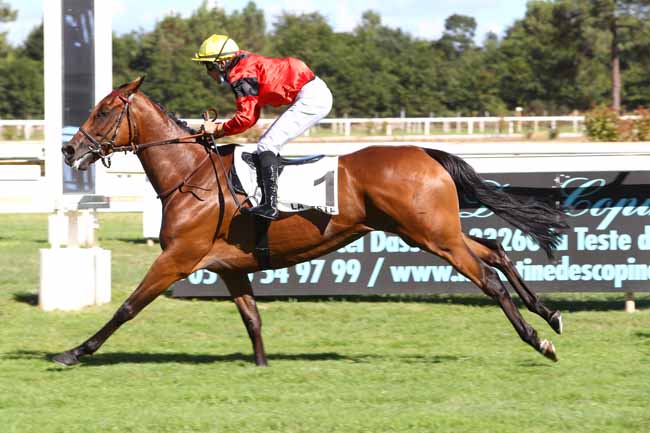 Photo d'arrivée de la course pmu CRITERIUM DE L'ATLANTIQUE à LA TESTE DE BUCH le Dimanche 26 juillet 2020