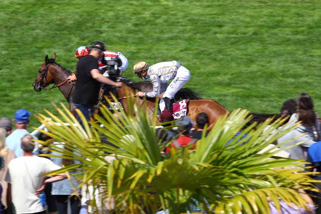 Photo d'arrivée de la course pmu PRIX ROSELIERE à CLAIREFONTAINE le Mardi 28 juillet 2020