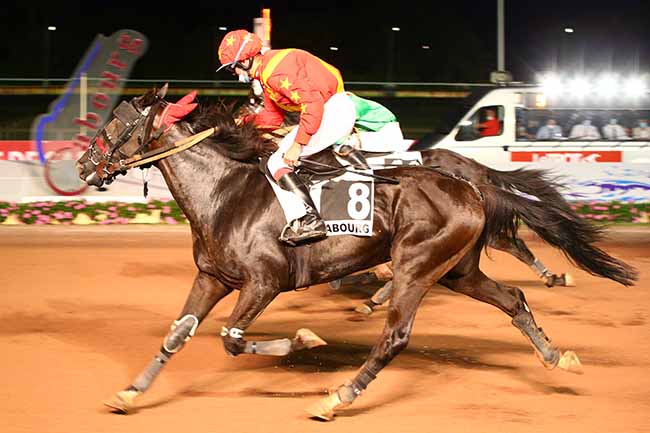 Photo d'arrivée de la course pmu PRIX DES HELIANTHES à CABOURG le Vendredi 31 juillet 2020