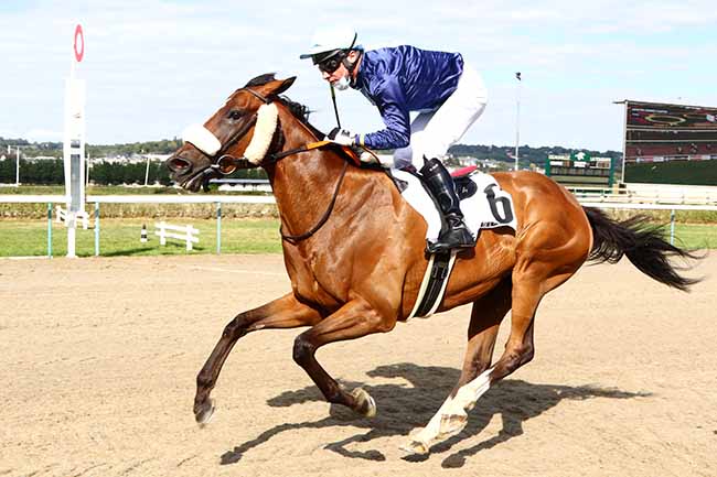 Photo d'arrivée de la course pmu 65EME PRIX GEORGES COURTOIS à DEAUVILLE le Samedi 1 août 2020