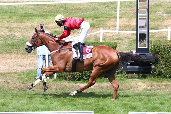 Photo d'arrivée de la course pmu PRIX 3601 DES CONSULTANTS PARIS-TURF à CLAIREFONTAINE le Lundi 3 août 2020
