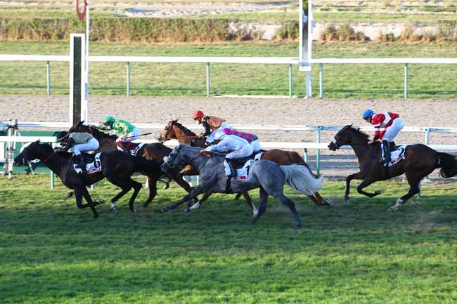 Photo d'arrivée de la course pmu PRIX LA COURSE DES GG DU SPORT à DEAUVILLE le Jeudi 6 août 2020