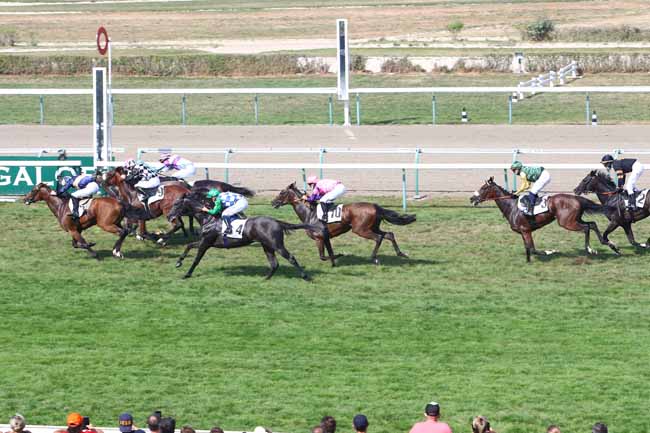 Photo d'arrivée de la course pmu PRIX DU LOGIS à DEAUVILLE le Mardi 11 août 2020