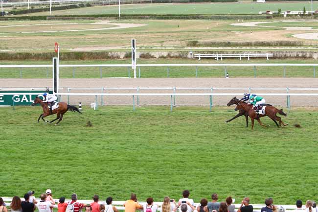 Photo d'arrivée de la course pmu PRIX DE FALAISE - CATEGORIE PERSONNEL D'ECURIE à DEAUVILLE le Jeudi 13 août 2020