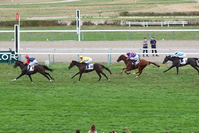 Photo d'arrivée de la course pmu PRIX DU QUAI SAINTE-CATHERINE - CATEGORIE JEUNE ESPOIR à DEAUVILLE le Jeudi 13 août 2020