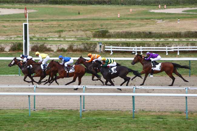 Photo d'arrivée de la course pmu PRIX DE SAINT-ADRESSE - CATEGORIE PERSONNEL DE HARAS à DEAUVILLE le Jeudi 13 août 2020