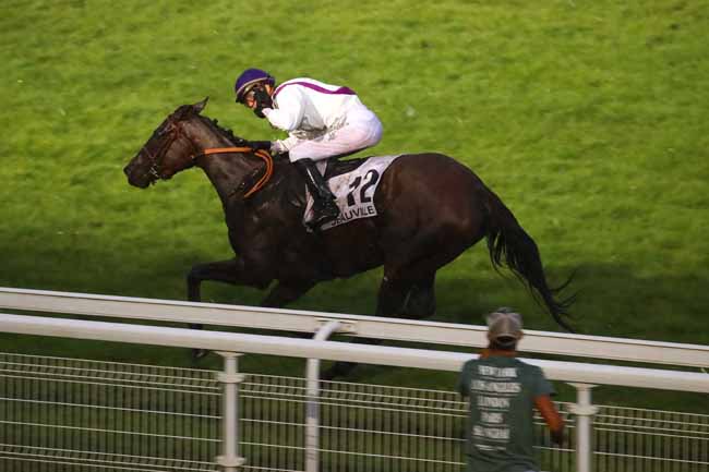 Photo d'arrivée de la course pmu PRIX DU VIEUX BASSIN - CATEGORIE LEADERSHIP à DEAUVILLE le Jeudi 13 août 2020