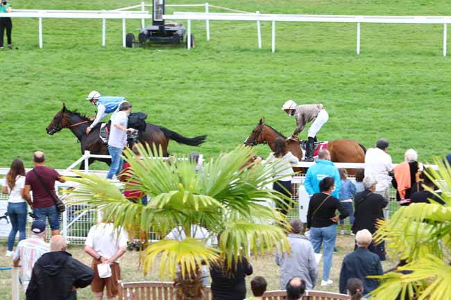 Photo d'arrivée de la course pmu PRIX BELLYPHA à CLAIREFONTAINE le Vendredi 14 août 2020