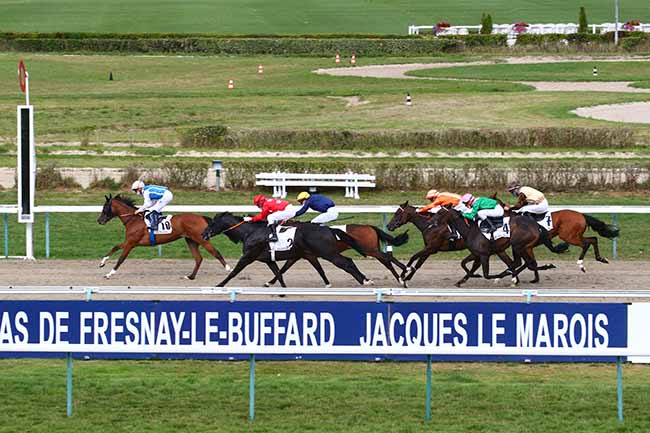 Photo d'arrivée de la course pmu PRIX DE LEAUPARTIE à DEAUVILLE le Dimanche 16 août 2020