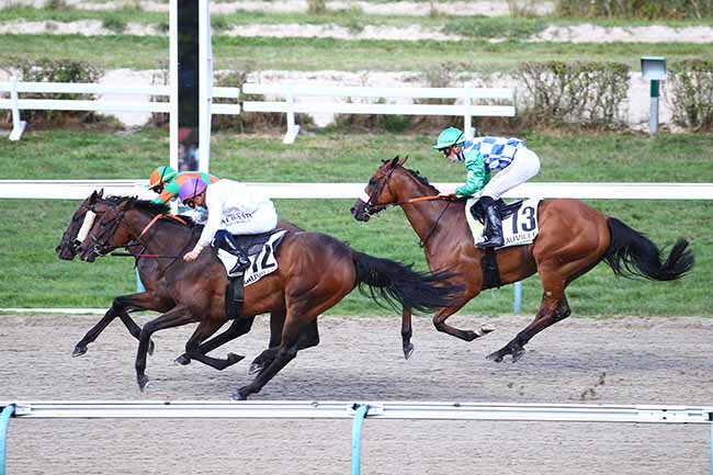 Photo d'arrivée de la course pmu PRIX DU QUAI DE LA QUARANTAINE à DEAUVILLE le Mardi 18 août 2020