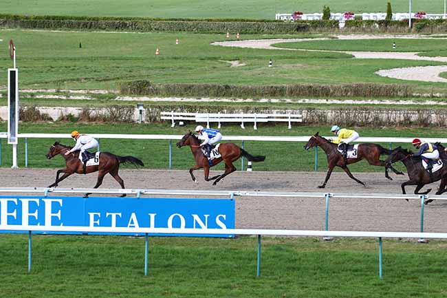 Photo d'arrivée de la course pmu PRIX DE LA REBOURSIERE à DEAUVILLE le Jeudi 20 août 2020