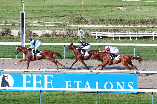 Photo d'arrivée de la course pmu PRIX DE MONTAIGU à DEAUVILLE le Jeudi 20 août 2020