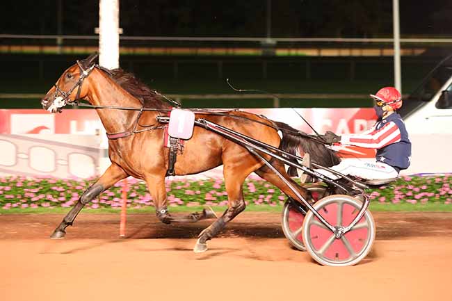Photo d'arrivée de la course pmu PRIX DES COQUELICOTS à CABOURG le Vendredi 21 août 2020