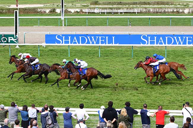 Photo d'arrivée de la course pmu SHADWELL PRIX DU CALVADOS à DEAUVILLE le Samedi 22 août 2020