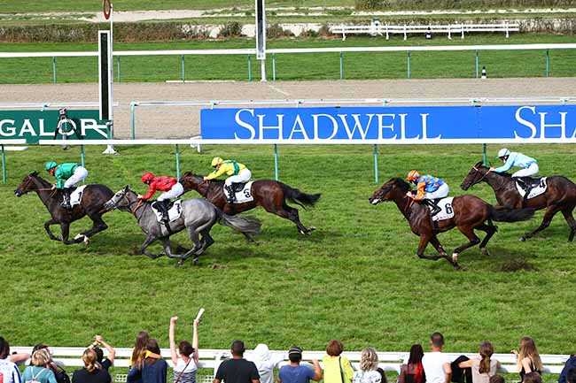 Photo d'arrivée de la course pmu CRITERIUM DU FONDS EUROPEEN DE L'ELEVAGE à DEAUVILLE le Samedi 22 août 2020