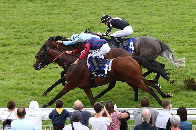 Photo d'arrivée de la course pmu PRIX ETALON MUHTATHIR AU HARAS DE MEZERAY à DEAUVILLE le Samedi 22 août 2020