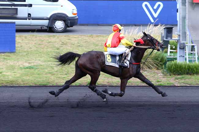 Photo d'arrivée de la course pmu PRIX DE TOULON à PARIS-VINCENNES le Samedi 22 août 2020