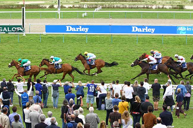 Photo d'arrivée de la course pmu DARLEY PRIX DE POMONE à DEAUVILLE le Dimanche 23 août 2020