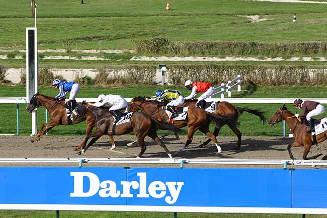 Photo d'arrivée de la course pmu PRIX DU PRIEURE DE GRAVILLE à DEAUVILLE le Dimanche 23 août 2020