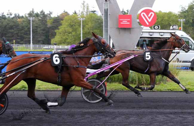 Photo d'arrivée de la course pmu PRIX DE BERCK-SUR-MER à PARIS-VINCENNES le Lundi 31 août 2020