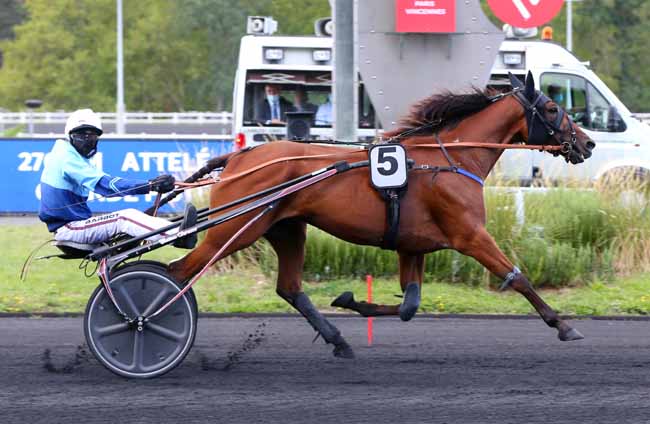 Photo d'arrivée de la course pmu PRIX DE CAGNES-SUR-MER à PARIS-VINCENNES le Lundi 31 août 2020