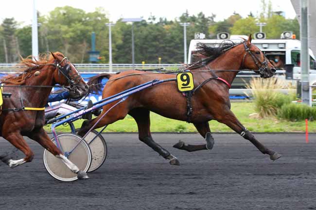 Photo d'arrivée de la course pmu PRIX DE L'ALLIER à PARIS-VINCENNES le Lundi 31 août 2020